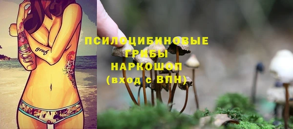 MDMA Premium VHQ Козельск