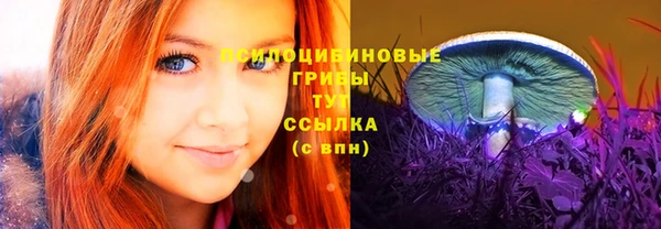 MDMA Premium VHQ Козельск