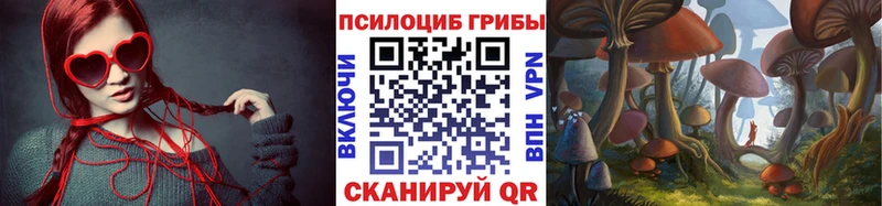 Купить закладки  Партизанск  Галлюциногенные грибы прущие грибы 
